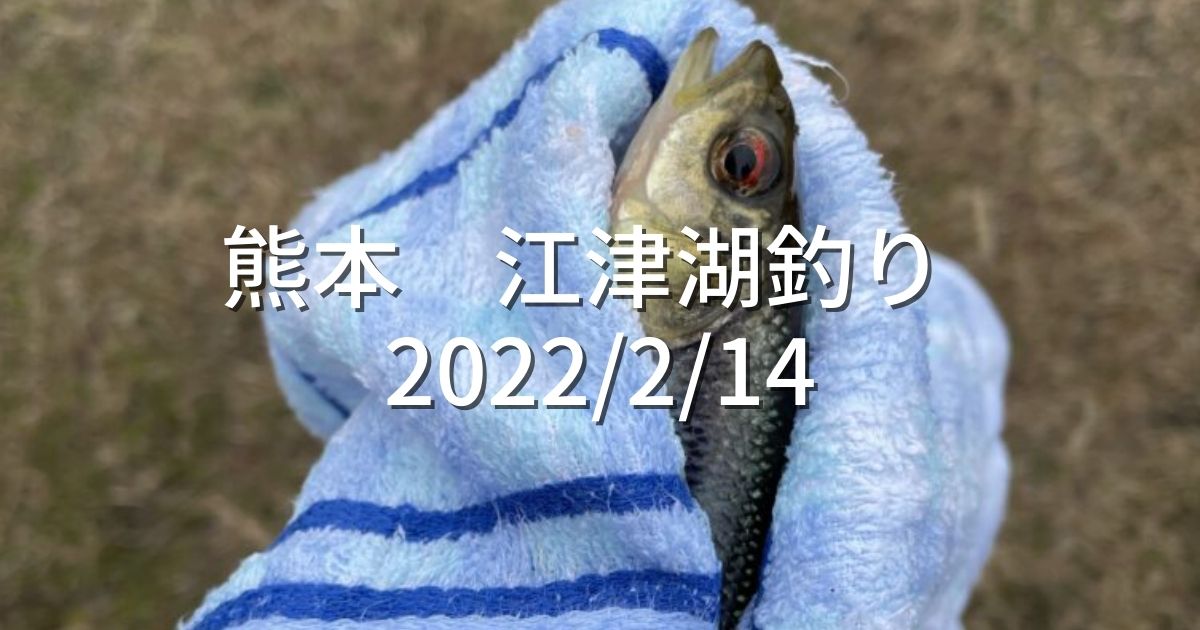 熊本 江津湖釣り 2022/2/14 - 熊本釣りブログ